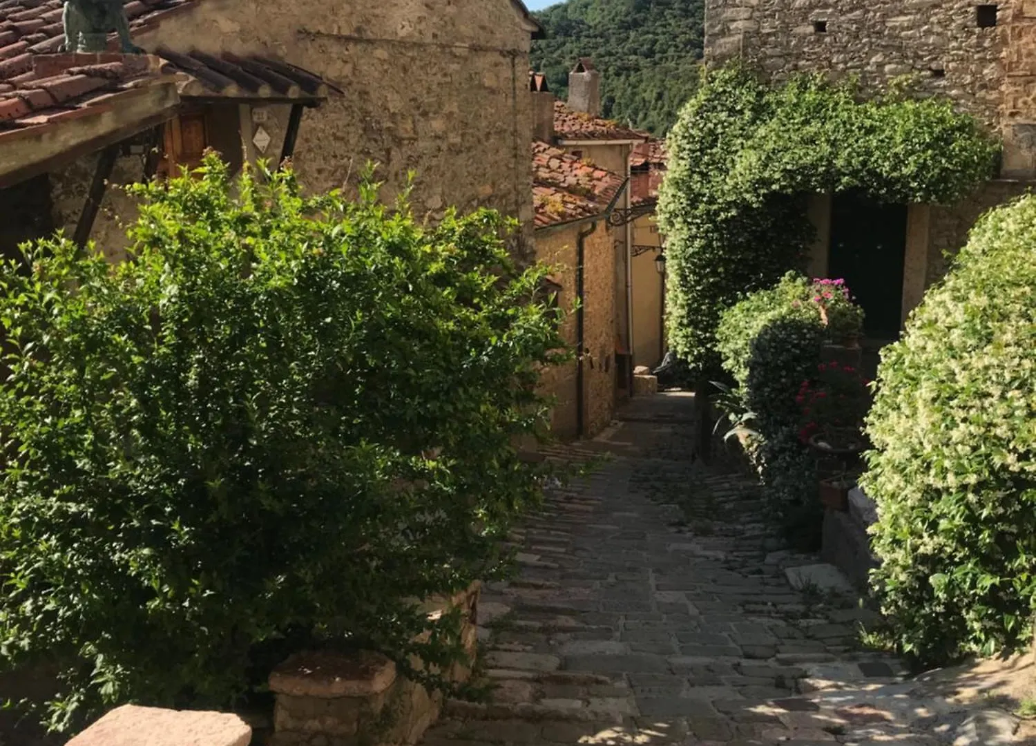 Le Dame Del Borgo Apartment Sassetta