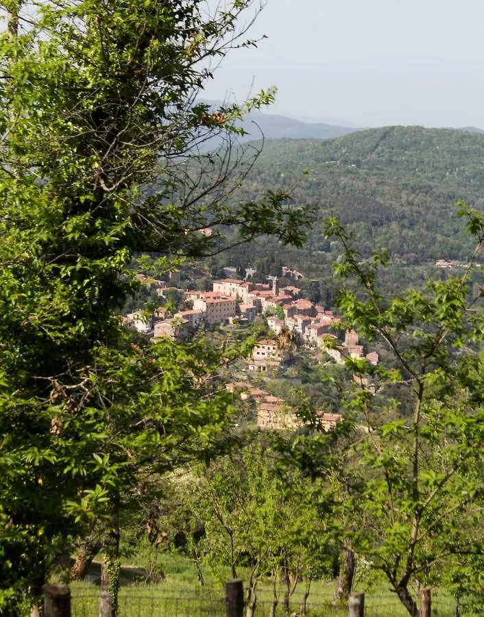 Ferienwohnung Le Dame Del Borgo Sassetta Apartment